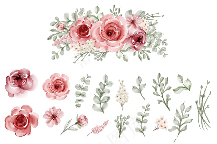 一套孤立的花叶水彩