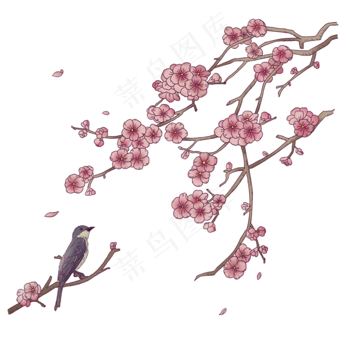 浮世绘梅花冬鸟PNG(2400X2400(DPI:300))psd模版下载