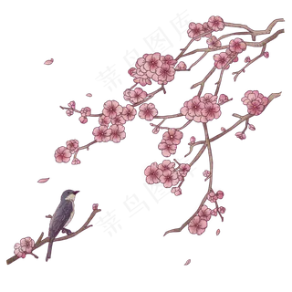 浮世绘梅花冬鸟PNG