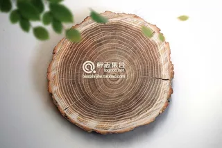 logo样机标志样机智能贴图