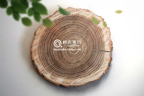 logo样机标志样机智能贴图 logo样机标志样机智能贴图
