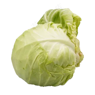 绿色蔬菜茴子白