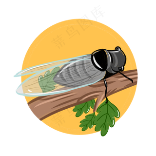 24节气之立秋知了可商用元素