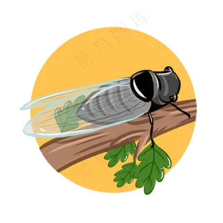 24节气之立秋知了可商用元素