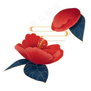 新年红色花朵