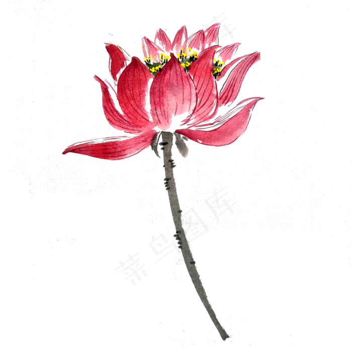 荷花莲花红色水墨工笔国画PNG(3000X3000(DPI:300))psd模版下载