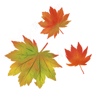 手绘枫叶素材