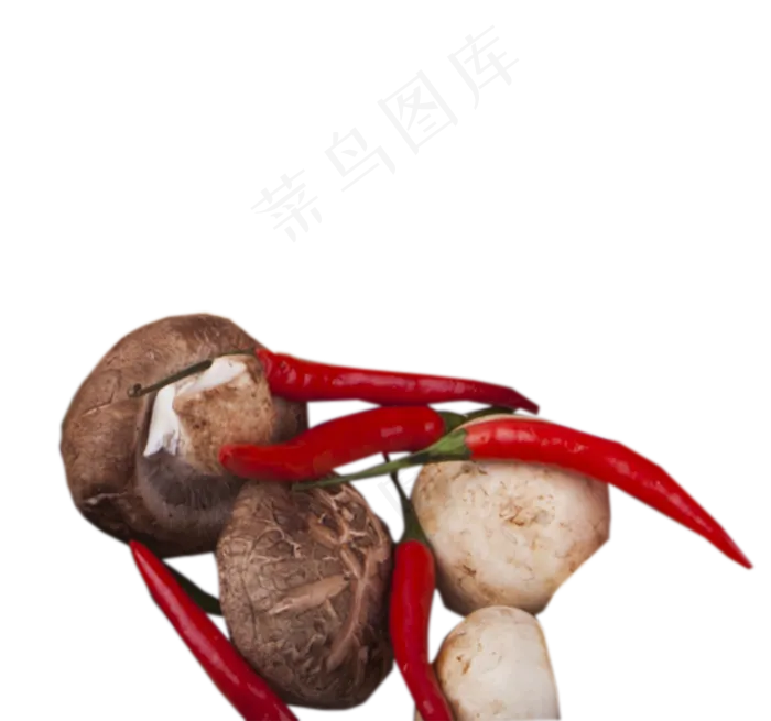 小清新生香菇食材(1338X1252(DPI:240))psd模版下载