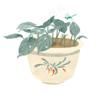 24节气白露植物小清新盆栽免费