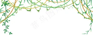 藤蔓丛林树枝悬挂