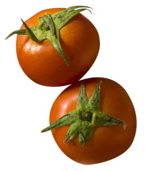 西红柿蔬菜