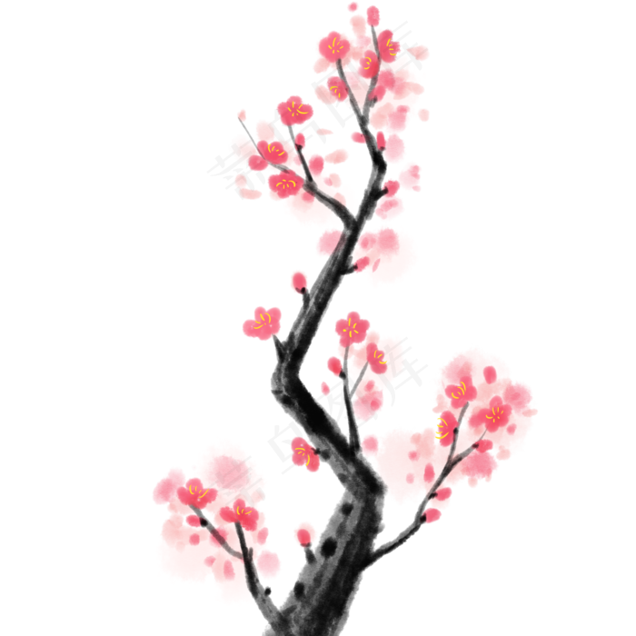  红色梅花 