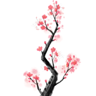  红色梅花 