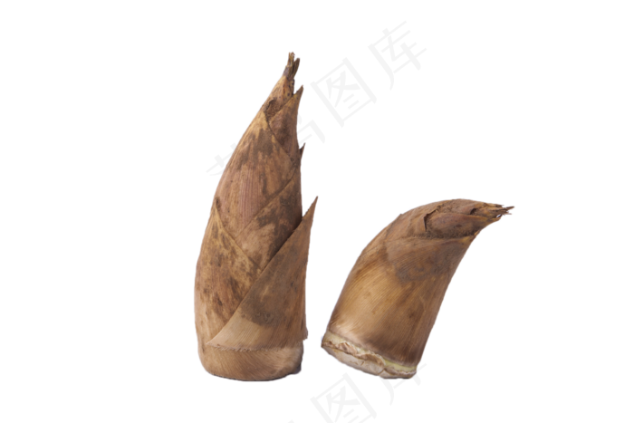 竹子竹笋笋尖好吃