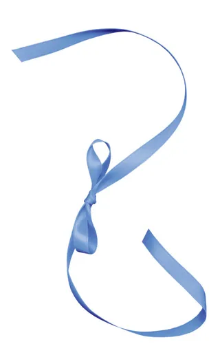 礼盒 彩带 飘带图片 蝴蝶结 礼结