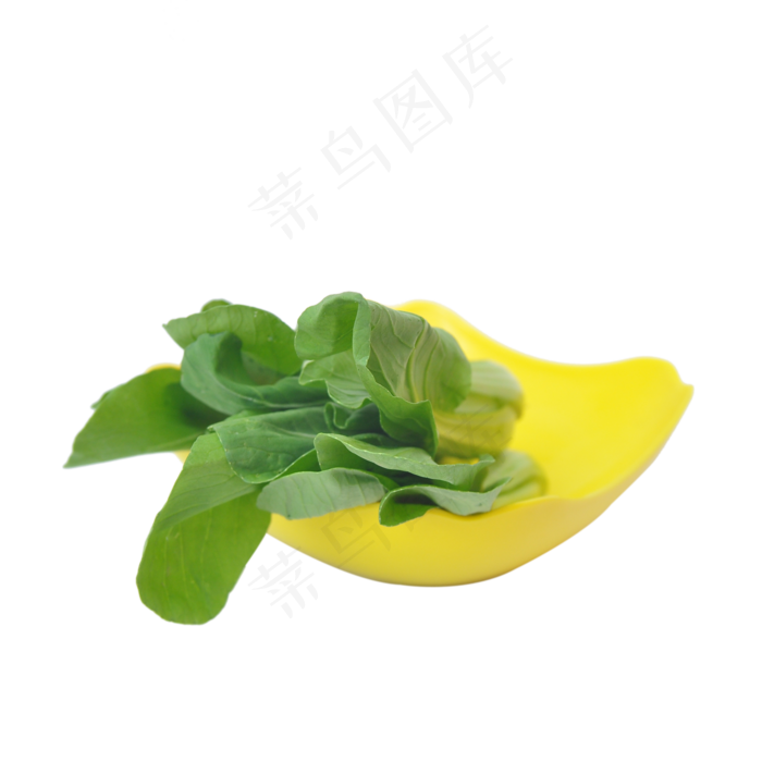 碟装小油菜(1266X1668)