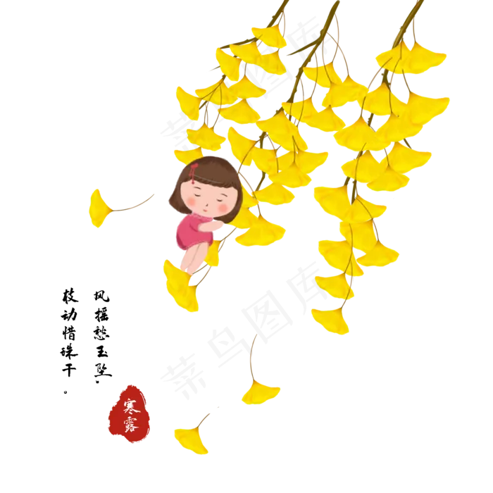 女孩银杏节气寒露(2000X2000(DPI:299))psd模版下载