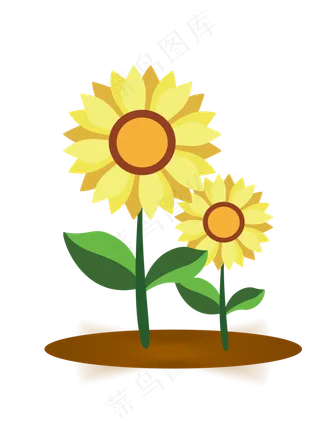 彩色的温暖系的向日葵