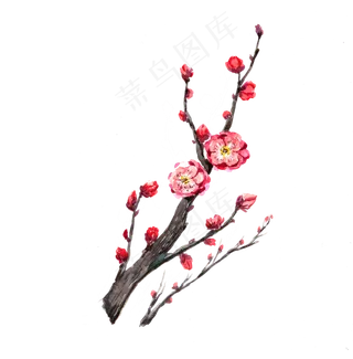 水彩手绘梅花png
