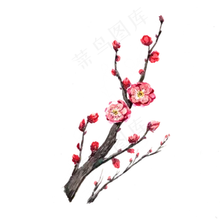 水彩手绘梅花png 水彩手绘梅花png