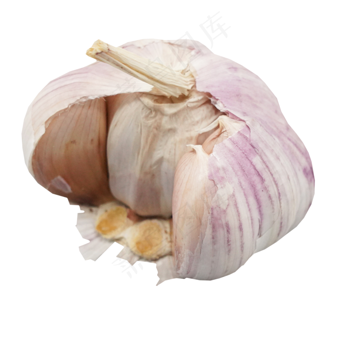 一头蒜头调味品