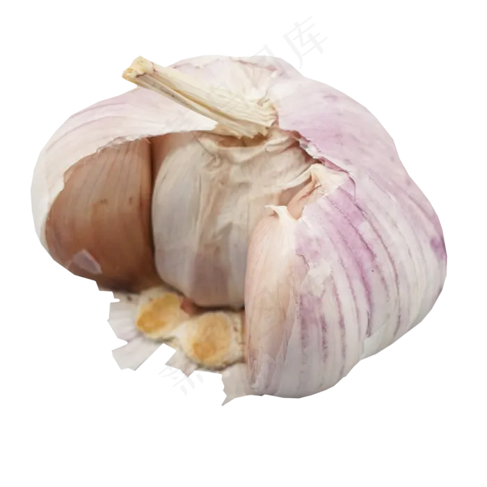 一头蒜头调味品(2000*2000px 300 dpi )