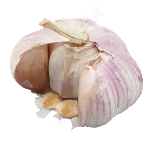 一头蒜头调味品