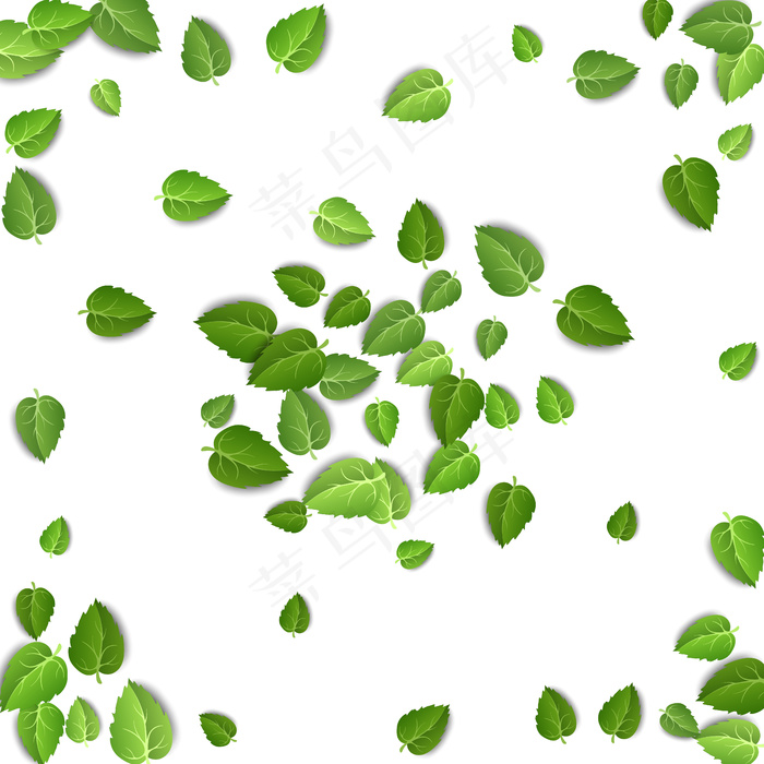 绿茶叶落在白色背景上孤立eps,ai矢量模版下载