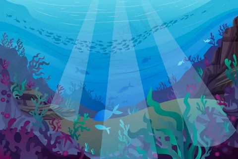 海底-视频会议的背景