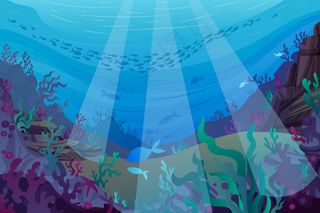 海底-视频会议的背景