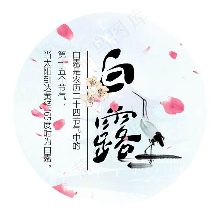白露二十四节气艺术字设计菜鸟图库原创