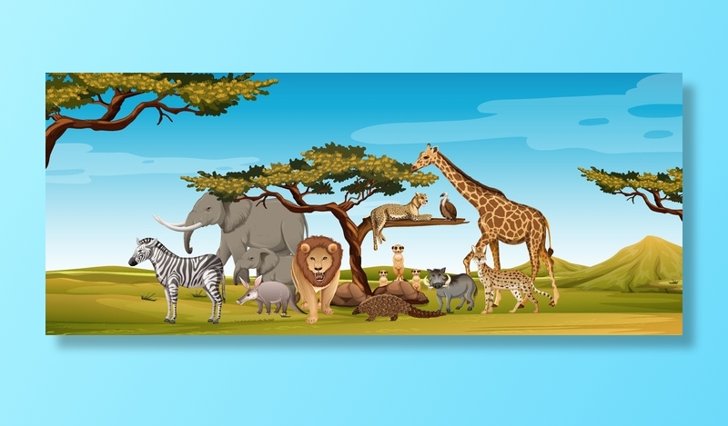 动物园场景中的一群非洲野生动物