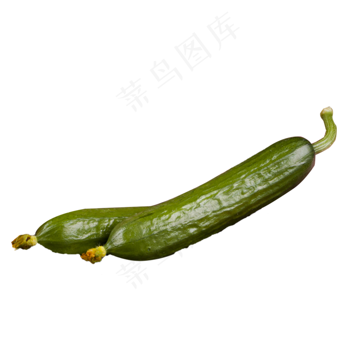 绿色黄色蔬菜新鲜黄瓜产品实物免