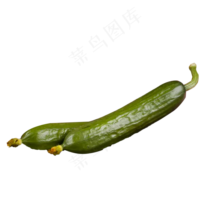绿色黄色蔬菜新鲜黄瓜产品实物免(2000X2000(DPI:300))psd模版下载