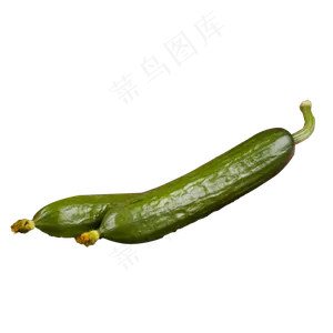 绿色黄色蔬菜新鲜黄瓜产品实物免