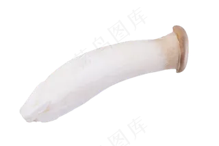 菌类食品蘑菇好吃