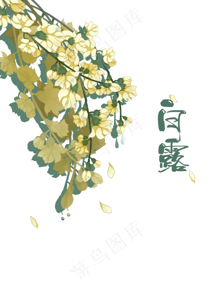 白露节气花卉古风免扣(3543X4724(DPI:150))psd模版下载