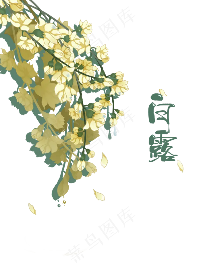 白露节气花卉古风免扣(3543X4724(DPI:150))psd模版下载