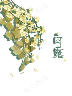 白露节气花卉古风免扣