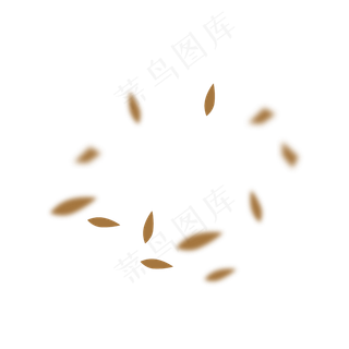 飞舞的树叶叶子秋天