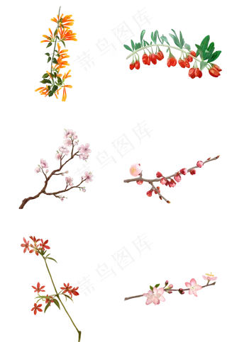 开花枝条结果枝条素材