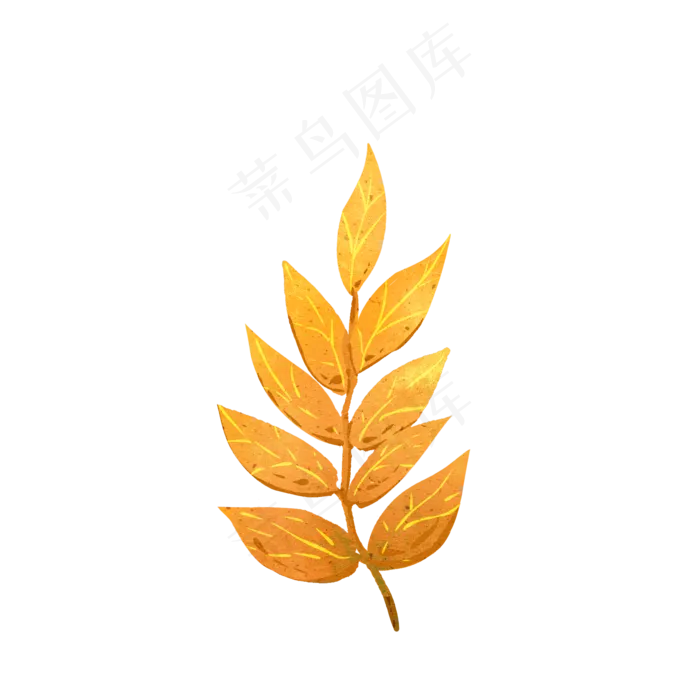 秋天秋叶落叶枫叶手绘素材(2000X2000(DPI:150))psd模版下载