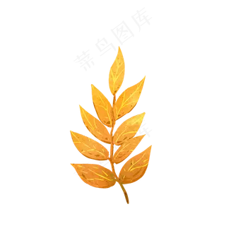 秋天秋叶落叶枫叶手绘素材