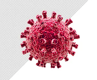 病毒或细菌模型样机