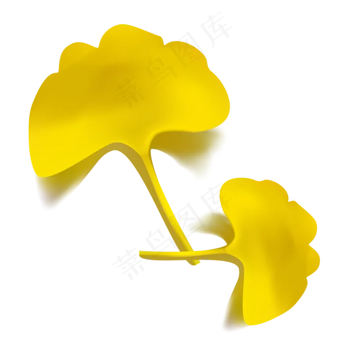 仿真金色银杏叶(2000X2000(DPI:300))ai矢量模版下载