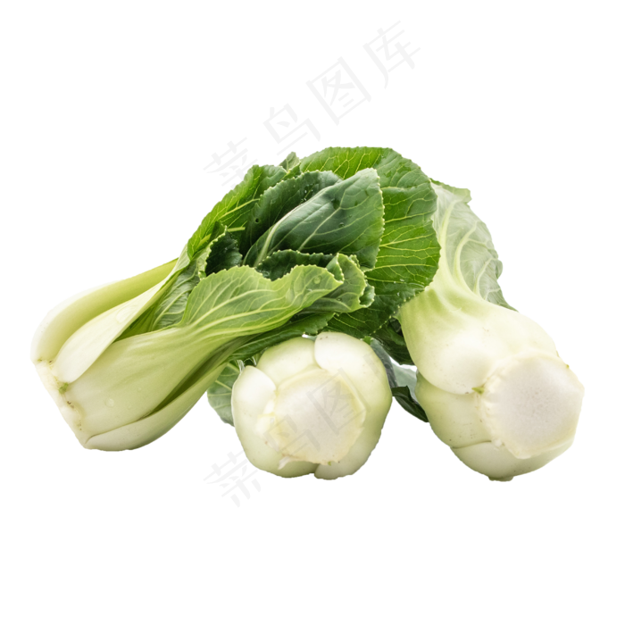 有机蔬菜油菜(3000*3000px 300 dpi )