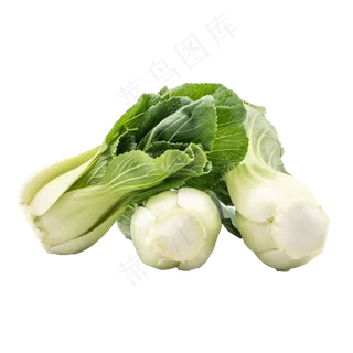 有机蔬菜油菜 有机蔬菜油菜