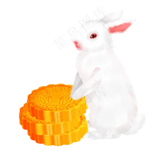 白色的兔子趴在月饼上
