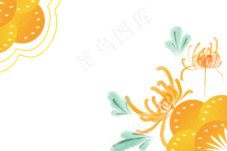 重阳节黄色菊花
