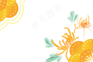 重阳节黄色菊花